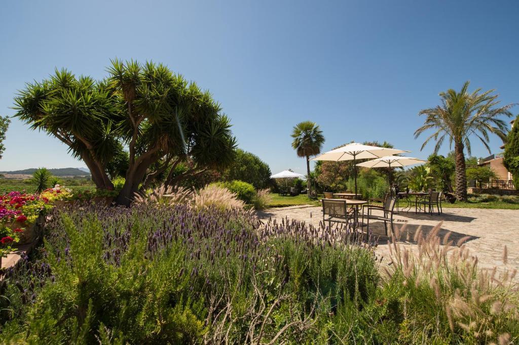 Agroturismo Can Feliu Porreres Kültér fotó